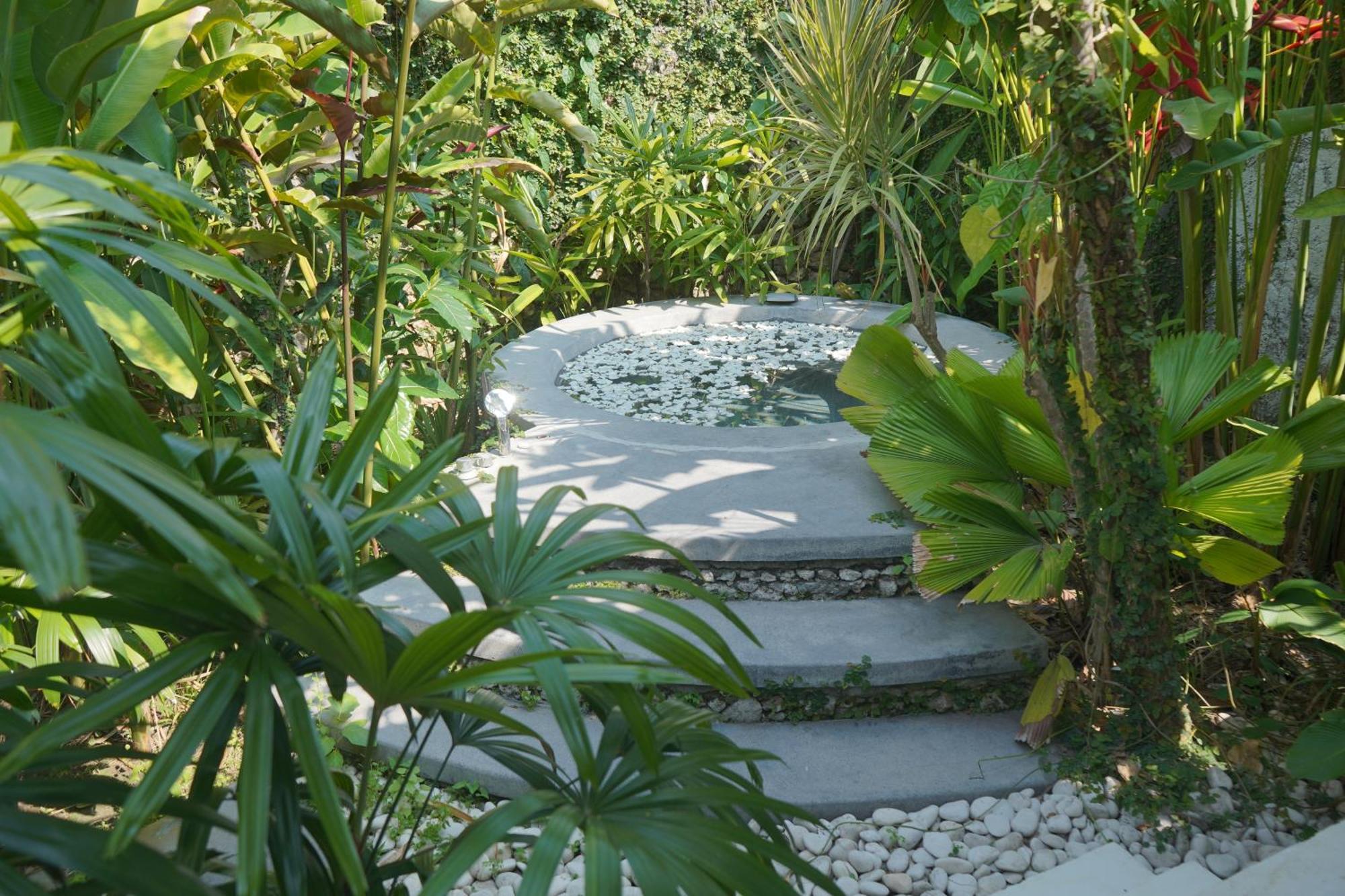 Liv Canggu - An Urban Sanctuary Bilik gambar